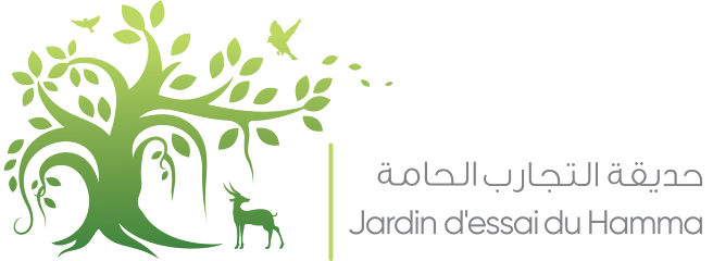 Logo Jardin d'Essai du Hamma