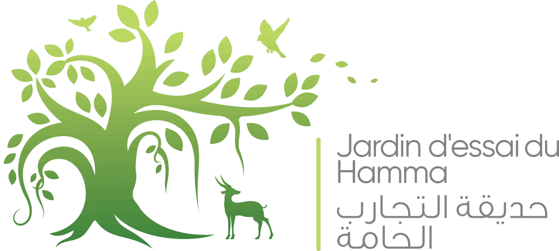 Jardin d'essai du Hamma 